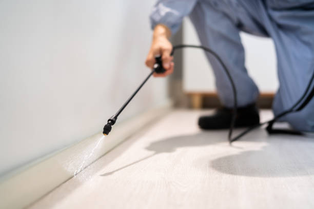 Licensed Pest Control service in Monroe, NC - Nex Pest Control