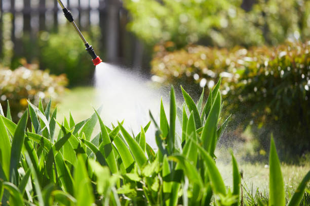 24/7 Emergency Pest Control experts in Monroe, NC