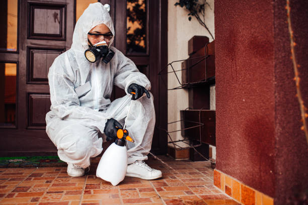 Reliable Pest Control contractor in Monroe, NC by Nex Pest Control