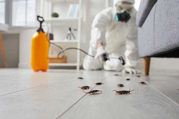 Affordable Pest Control solutions in Monroe, NC