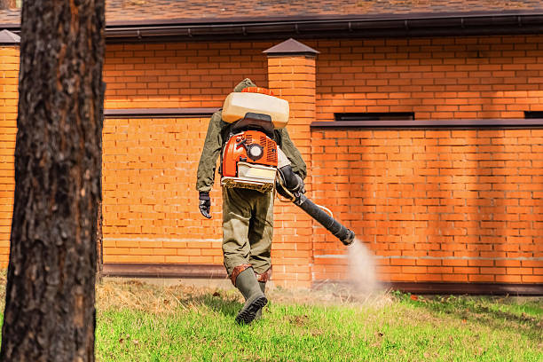 Top rated local Pest Control specialists in Monroe, NC